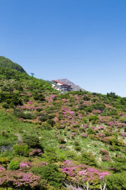 Güneşli bir günde doğanın manzarası.