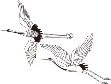 Uçan turnaların çizimi