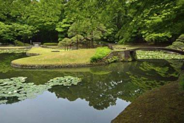 Gölet ve köprüsü olan Japon bahçesi manzarası