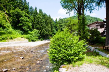 Japonya 'da hızlı nehir ve yeşil ormanın yanındaki küçük köyün güzel manzarası