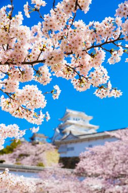 Osaka, Japonya Osaka Kalesi bahar mevsiminde 