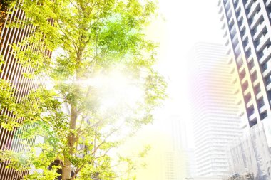 modern şehir mimarisi, Tokyo, Japonya 