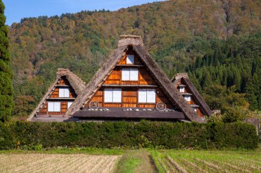 shirakawago köyündeki geleneksel ev.