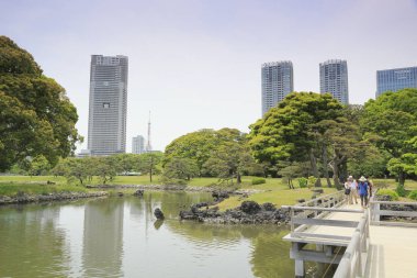 Tokyo, Japonya 'daki Hama-rikyu bahçeleri.