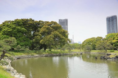 Tokyo, Japonya 'daki Hama-rikyu bahçeleri.