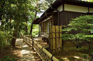 Yazın Japon bahçesinde.