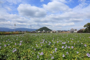 Parkın güzel manzarası.