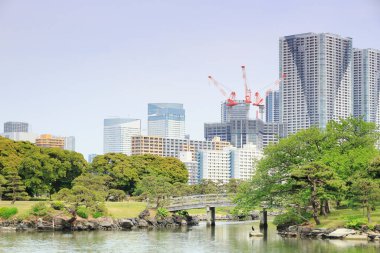 Tokyo, Japonya 'daki Hama-rikyu bahçeleri.