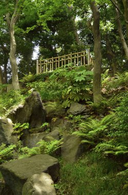 Tokyo, Japonya 'daki Japon bahçesi manzarası