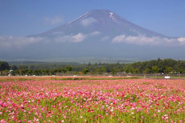 Fuji Dağı ve Kawaguchiko Gölü, Japonya
