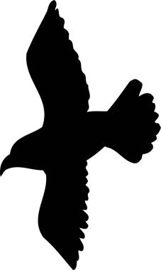 Beyaz arka planda uçan kuşun siyah silueti  