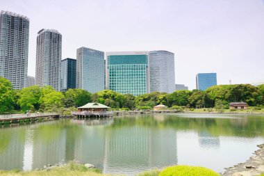 Tokyo, Japonya 'daki Hama-rikyu bahçeleri.
