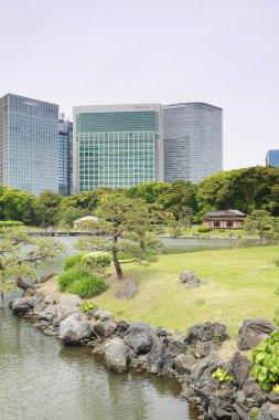 Tokyo, Japonya 'daki Hama-rikyu bahçeleri.