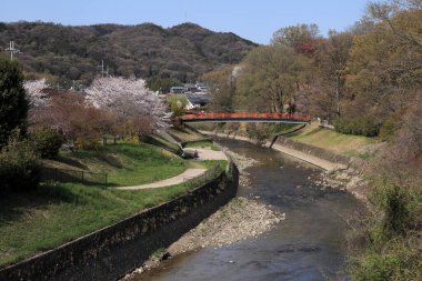 Nehrin üzerinde çiçek açan ağaçlar ve köprü olan güzel bir bahar parkı manzarası.     
