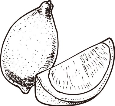 limon resim simgesi çizimi