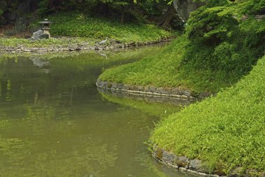 Japon parkındaki güzel yeşil gölet manzarası