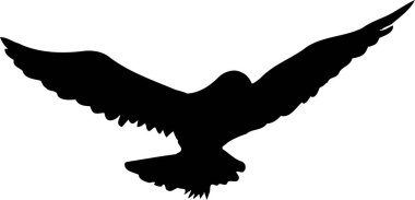 Beyaz arka planda uçan kuşun siyah silueti  