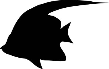 Balık, beyaz arkaplanda izole edilmiş basit siyah beyaz çizim