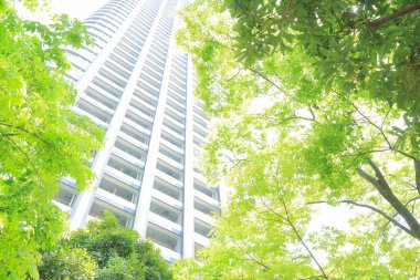 yeşil ağaç ve şehrin modern binası