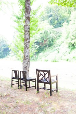 boş ahşap sandalyeler yeşil güneşli parkta      