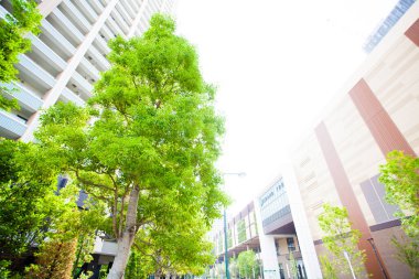 Asya şehri ve ağaçlarının modern şehir mimarisi