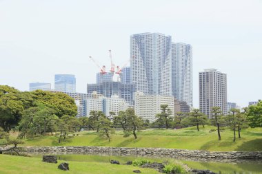 Tokyo, Japonya 'daki Hama-rikyu bahçeleri.