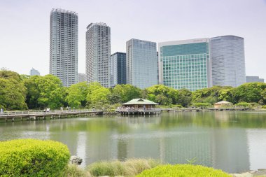 Tokyo, Japonya 'daki Hama-rikyu bahçeleri.