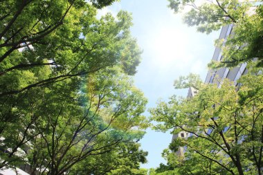 doğa arka planında yeşil yapraklar