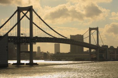 Tokyo şehrinin gökyüzü manzarası