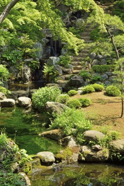 Küçük Japon nehri.