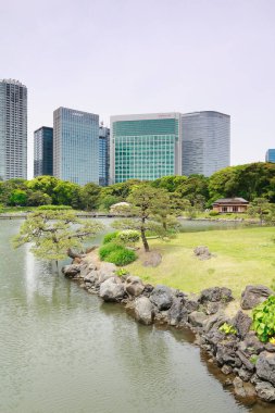 Tokyo, Japonya 'daki Hama-rikyu bahçeleri.