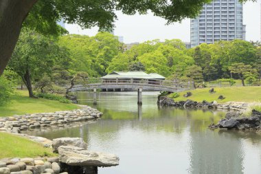 Tokyo, Japonya 'daki Hama-rikyu bahçeleri.