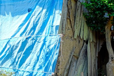 Mavi branda, yakındaki yeşil bitkiyle kaplı ahşap duvarı kaplıyor.