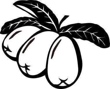 Üç lokuat meyvesi ve birkaç yaprağı olan bir dalın siyah beyaz çizimi.