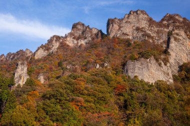 Ağaçlar ve yapraklarla dolu güzel sonbahar manzarası
