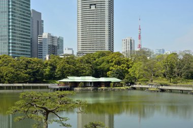 Tokyo, Japonya 'daki yeşil şehir parkı.