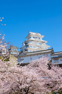 Osaka, Japonya Osaka Kalesi bahar mevsiminde 