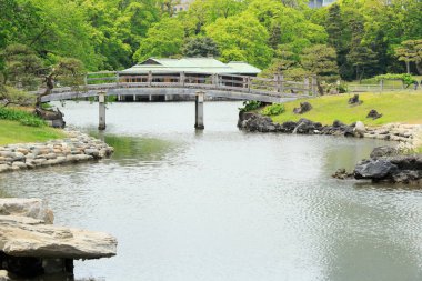 Tokyo, Japonya 'daki Hama-rikyu bahçeleri.