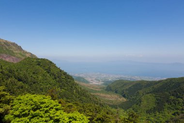 Güneşli bir günde doğanın manzarası.