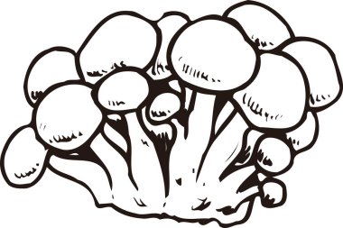 Mantarlar ana hatları illüstrasyon, gıda kavramı