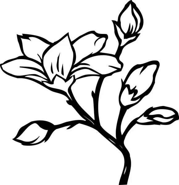 Zwart Wit Japanse Stijl Bloemen Illustratie — Stockfoto