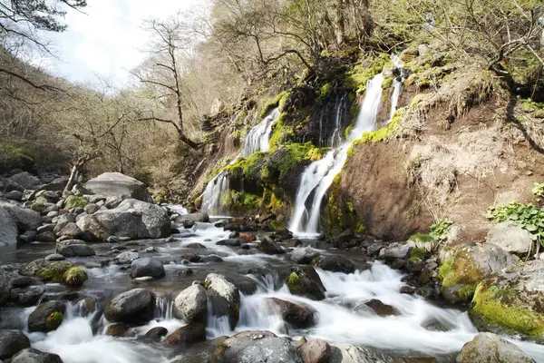 Beautiful Waterfall Rapid Stream Mountain Forest — Stock Photo, Image