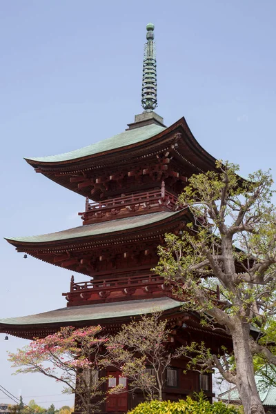 Chureito Pagoda Spring Fujiyoshida Japan — Stock Photo, Image