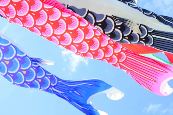 Ψαροκάλτσα Στον Ουρανό Ιαπωνία — Φωτογραφία Αρχείου