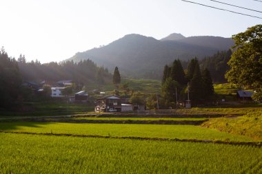 açık hava manzarasının resimsel görüntüsü