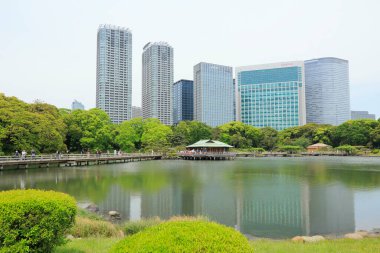 Tokyo, Japonya 'daki Hama-rikyu bahçeleri.