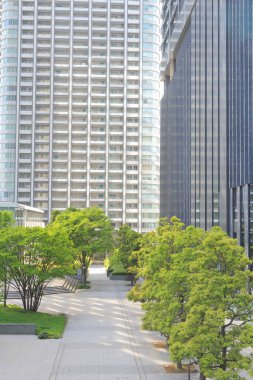 Şehirdeki ağaçlar ve modern binalar