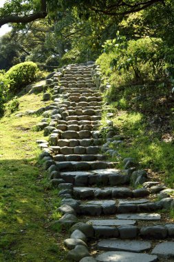 Yeşil şehir parkındaki merdivenler, doğa manzarası.
