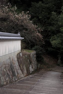 Geleneksel duvarın yanındaki taş patika sık ormana doğru gidiyor.