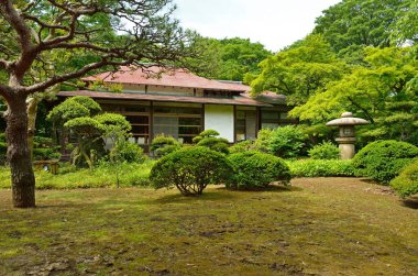 Eski bir Japon tapınağının manzaralı fotoğrafı.